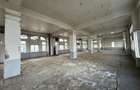 Vanzare spatiu industrial/cladire birouri Rahova - Margeanului, Bucuresti - 13