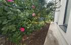 Vila 4 camere | 110 mp utili | Teren 320 mp - 4