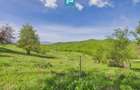 Casă pitorească de vacanță în Dulcele - 9