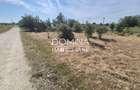 Vânzare teren intravilan 801 mp, deschidere 30 m.l. – Strada Slobozia - 3