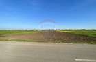 Teren Intravilan 6.220 mp | Strejnicu, Strada Livezilor - 1