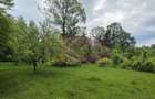 Teren de vanzare in Breaza, Nistoresti - 1