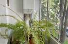 Apartament cu 3 camere, de vanzare, zona Sagului, Timisoara - 9