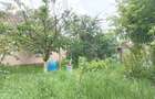 Casa de vanzare in Oradea, zona Calea Clujului, 780 mp teren - 12
