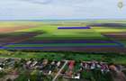 Teren cu potential 6,9 ha in Munar - 4