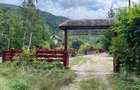 Pensiune Cheile Tisitei - 6