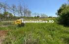 Teren intravilan de vanzare  Cornetu IF | ApexImobiliare.ro - 7