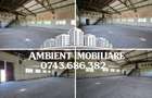 HALĂ DEPOZITARE sau ATELIER, teren 310 mp, VASLUI - zona Industrială; - 2
