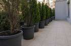 REA1028669 Apartament 3 camere de vanzare l Terasa 27 mp l Belvedere Residences - 5