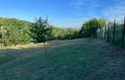 Teren zona Copou - Viticultori, intravilan - 1