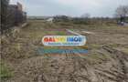Vanzare teren intravilan Domnesti Teghes - 3