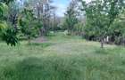 Teren extravilan de vânzare – Stănești, 3.861 mp, livadă de cireși - 10