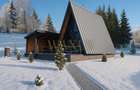 Teren 34,5 ari + cabana A-frame Colibita – ideal pentru resort, spa sau pensiune - 3