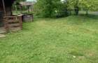 Teren INTRAVILAN în Delta Dunării – 1035 mp – Chilia Veche – locație rară - 7