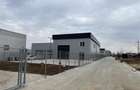 Inchiriere depozit/hala/spatiu industrial Chiajna - Centura - A1 - 6