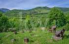 Mai mult decât spațiu: timp, liniște și confort în natură. - 12