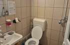 Tei inchiriere sau vanzare spatiu comercial Ramuri Tei - Titeica - 5