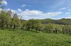 TEREN INTRAVILAN 8330 MP, INURI, VINTU DE JOS - 6