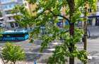 Apartament 2 camere, ultracentral, boxă mare – oportunitate - 7