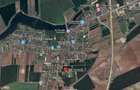Teren 1500 mp Caciulati Moara Vlasiei, cu utilități - 6