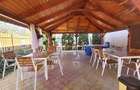 PROPRIETATE CU AFACERE FUNCTIONALA DE VANZARE - PETREU, LANGA MARGHITA - 8