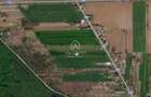 Teren intravilan 704 mp – Siliștea Snagovului | Lângă Pădurea Snagov - 1