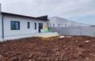 Casa parter, 3 dormitoare, 2 bai, finisaje premium, Berceni - 3