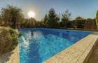 Vila stil mediteraneean cu piscina -8 camere - Ghermănești - 3