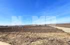 Vanzare I Teren I Suceava/Stroiesti I 100 ARI 2999 Euro/Ar - 6