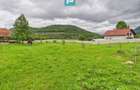 Casă în localitatea Gurahonț - Arad, teren 2914 mp - 13