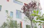 REA1026686 Apartament 2 camere ideal pentru investitie - Finisaje premium - Vede - 14
