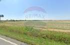 Teren extravilan de vanzare 17500 mp, deschidere 27m la DN1,  Ploiesti - 6