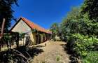 Casa de poveste, incarcata de traditie si istorie, Vad - Fagaras - 22