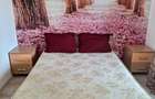Apartament 2 camere Berceni-Drumul Dealul Cucului - 5