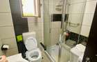 Vanzare 3 camere / teren 101mp, Drumul Fermei - 10