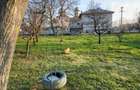 Teren 6000 mp + casa + anexe la marginea satului Dascalu - 1