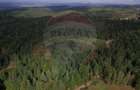 Teren extravilan parcelabil Călățele Pădure, zona Dealu Negru - 17