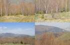 Teren pasune - 48.956mp, Sat. Simon - 1