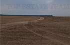 Oferim spre vanzare 6 loturi de teren extravilan (agricol) in Petrachioaia ILFOV - 4