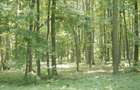 TUNARI, cu acces din Sos. de Centura, 187.000 mp teren - 8