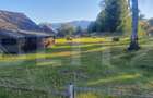 Teren intravilan, 5530 mp, zona Neagra Sarului - Vatra Dornei - 5