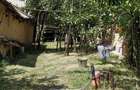Casa si teren 3000 mp Naipu Giurgiu - 10