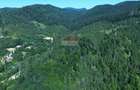 Teren 120.000 mp Sucevița – oportunitate de investiție în turism - 11