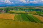 Oportunitate pentru fermieri: 10.800 mp teren arabil în Rotbav, Brașov - 7