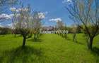 Casa Valea Mare Pravat (Campulung-Arges ) - farmec interbelic