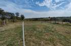 Vand casa 3 camere in Chesint ID:RH-41260-property - 10