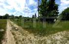 Parc Industrial, 84000 mp, Pucioasa - 9