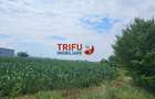 Teren Intravilan Soseaua De Centura !3500mp - 2