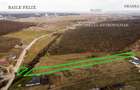 RECO teren intravilan Betfia – ideal pentru casa sau investitie - 6