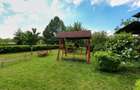 Oportunitate - Casă boierească  de poveste- 7000 mp teren